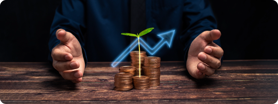 Investment background